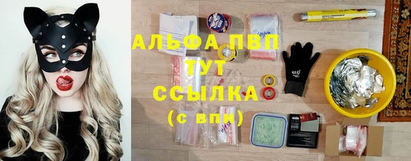 эйфоретик Алексин