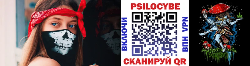 где купить наркоту  Навашино  Псилоцибиновые грибы Psilocybe 